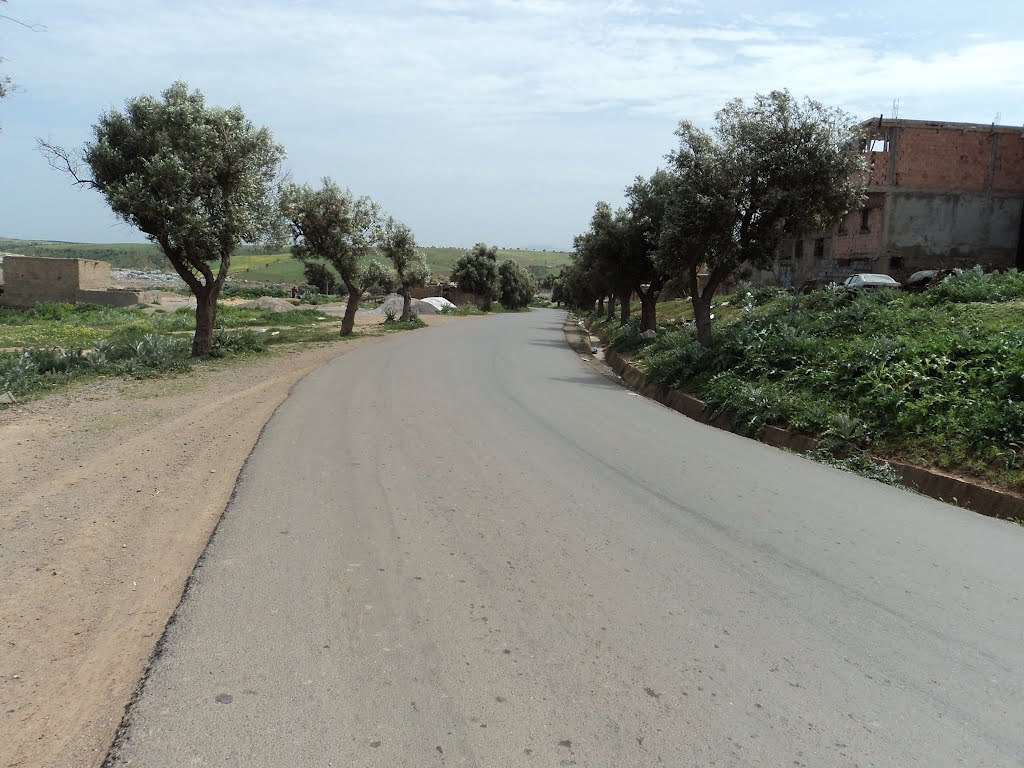 Route vers cimetière arabe (sidi mefteh) by kada kelloucha