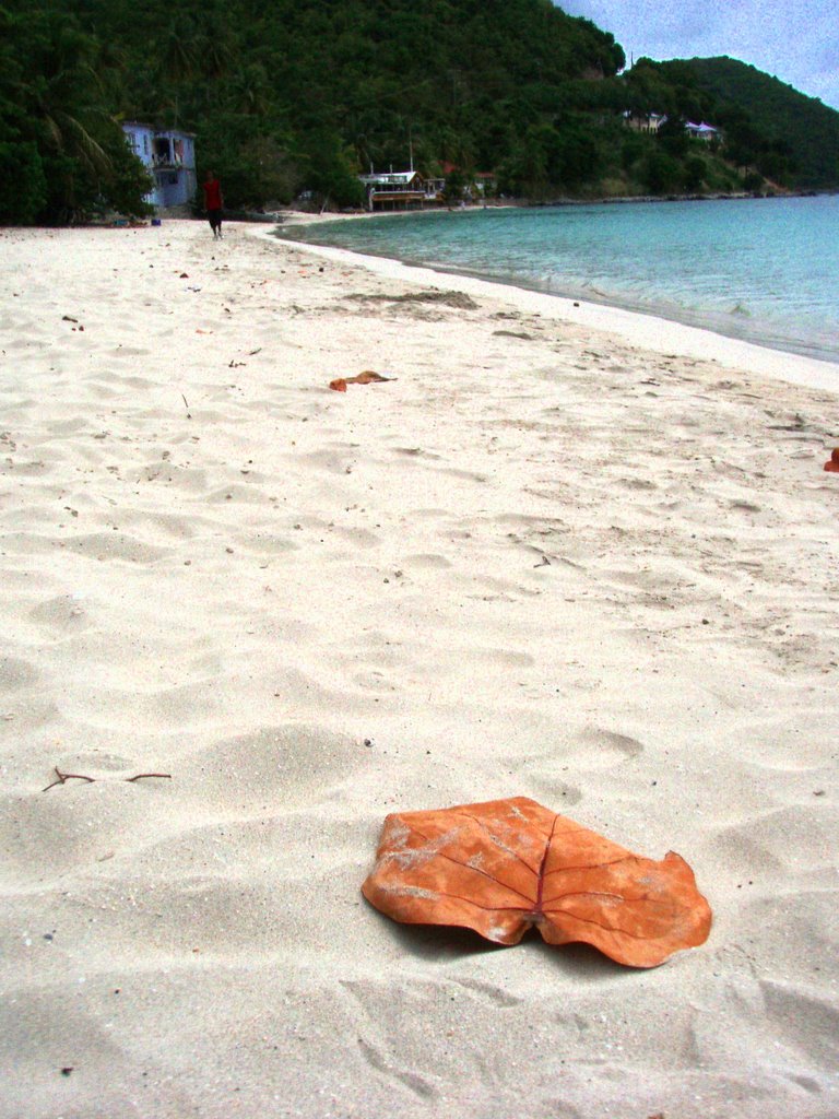 The beaches of Cane Garden Bay, Tortola by Sonya Brunt