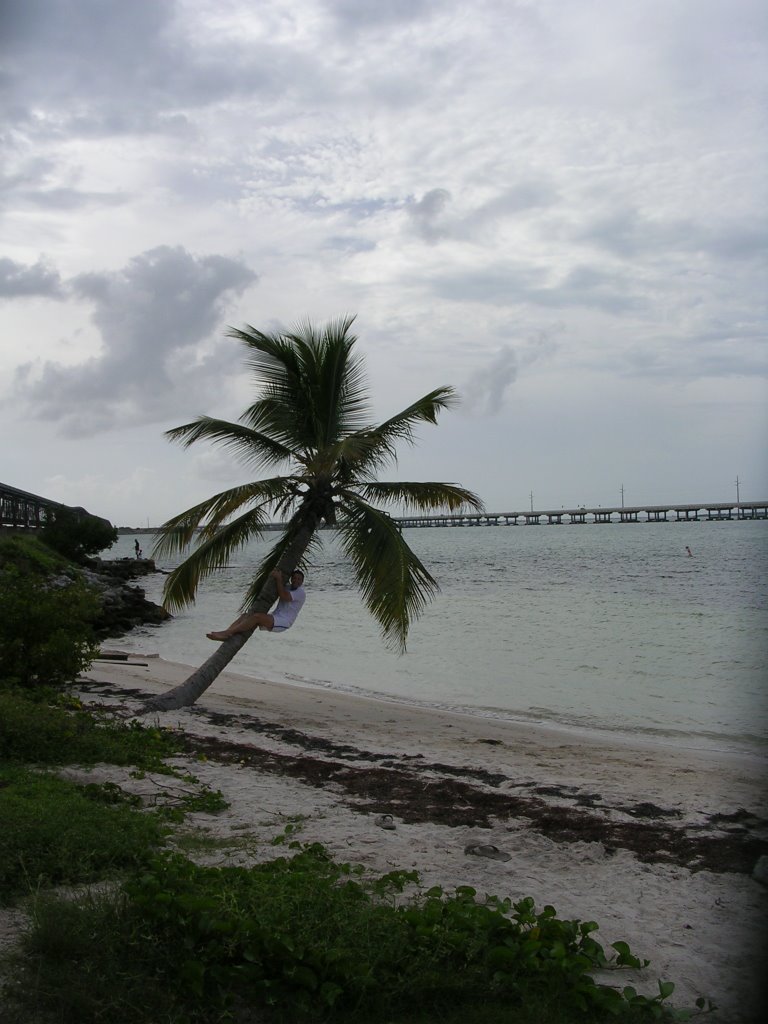 Old Bahia Honda Bridge by fobiafabio