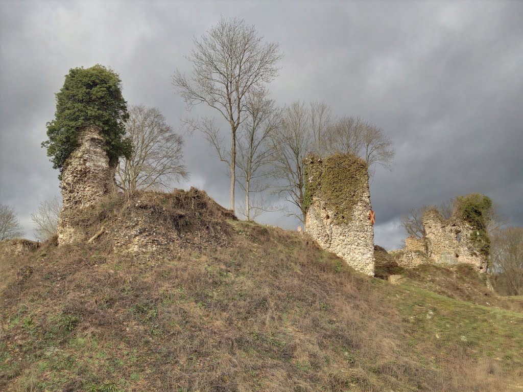 Chateau de Montfort sur Risle by Laignel Ludovic