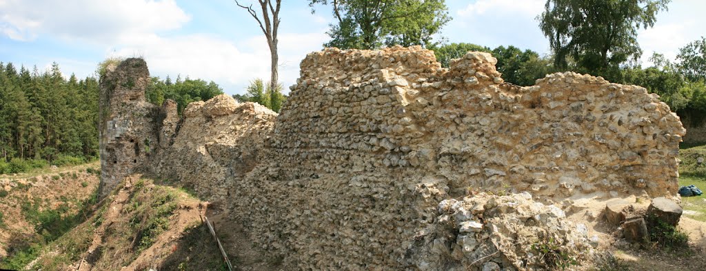 Enceinte du chateau de Montfort sur Risle by Laignel Ludovic