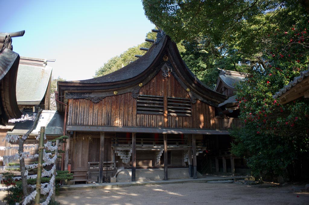 桜井神社神殿 Sakurai Shrine Temple by 石津安信