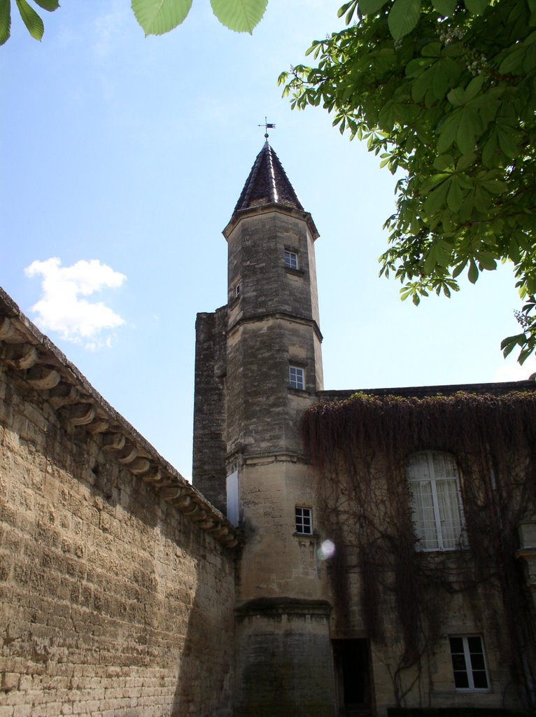 UZES by GECKO1946