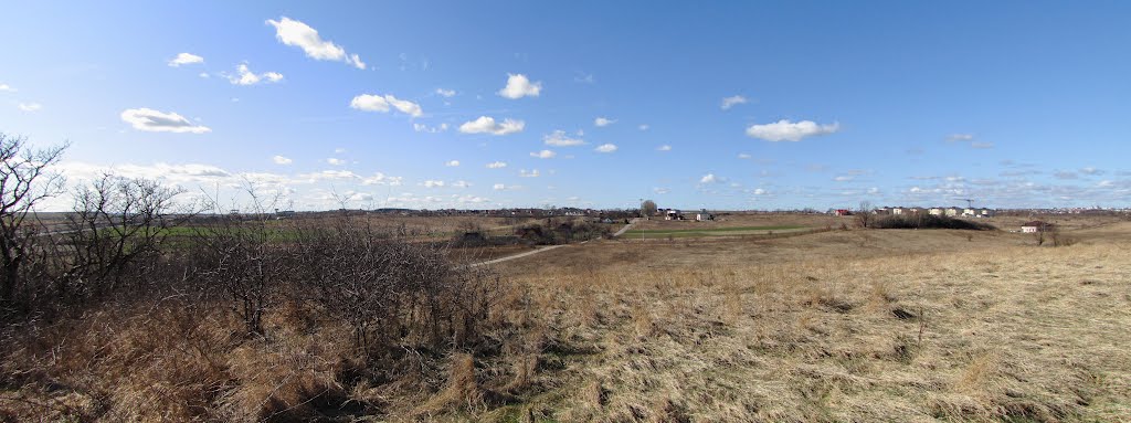 Panorama wschodnich rubieży Borkowa. /Widok z SE, 25.03.2012/ by Panzerfaust75