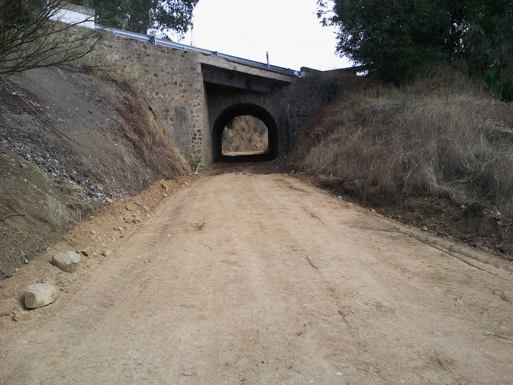 TUNEL ACCESO BAJO LA N 630 by ALFONSO OLALLAREAL