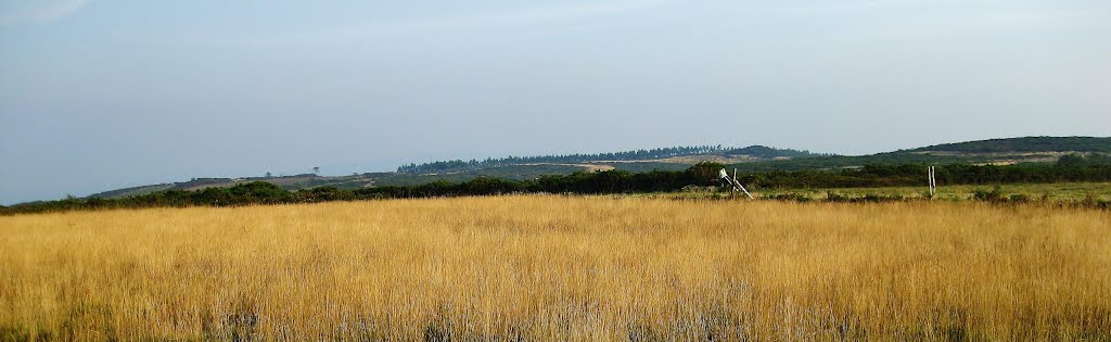 Paisaxe preto da Lagoa Sacra de Olives - (Forcarei) by fotocolocador