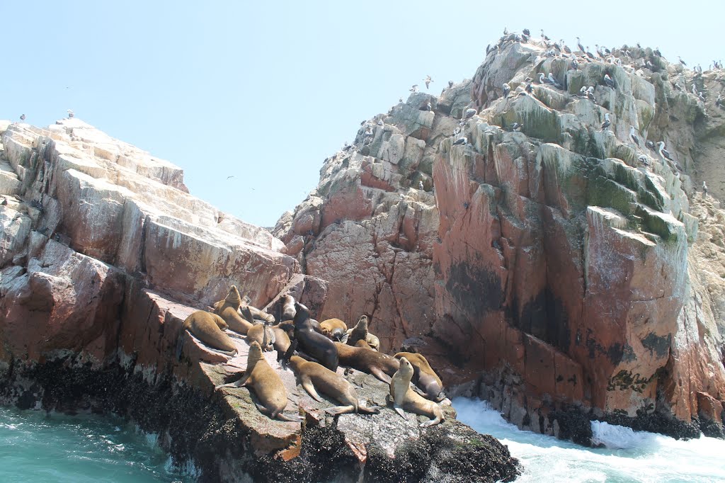 Ballestas Islands by Yalila