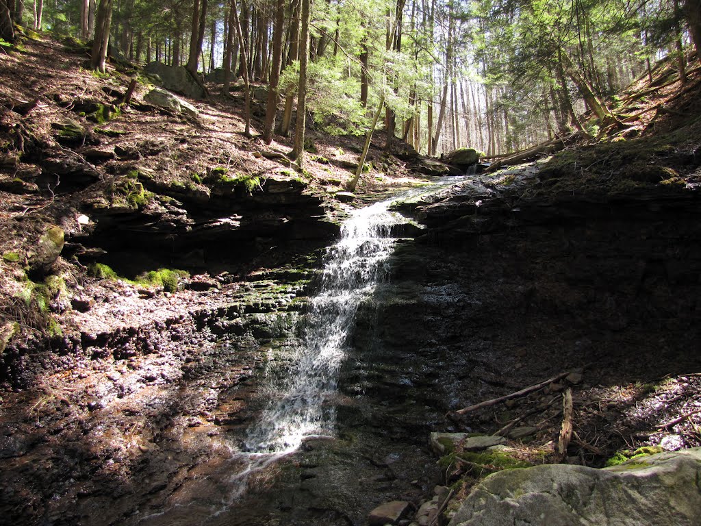 Mineral Spring Falls (~20') by Chris Sanfino