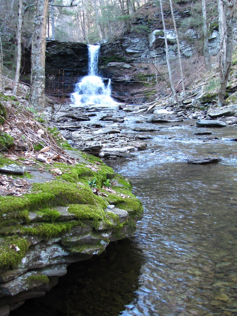 Sheldon Reynolds Falls & Moss by Chris Sanfino