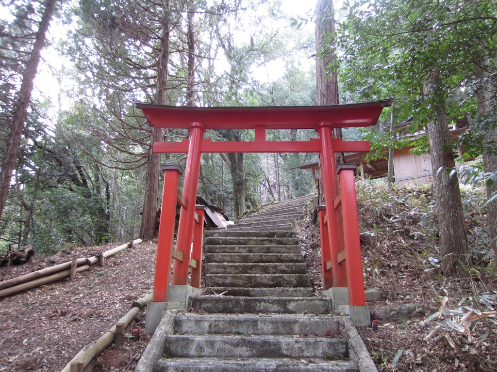 吉野郡黒滝村粟飯谷・妙見神社 二の鳥居 by taka_neya