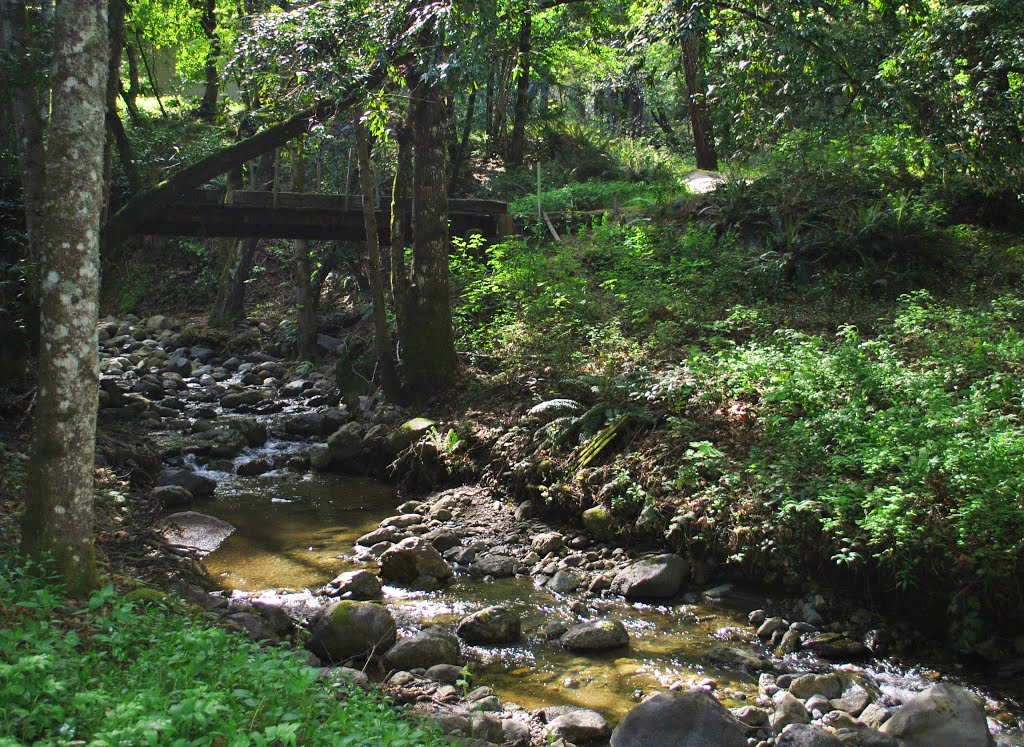 BridgeOverAlpineCreek by lee watts