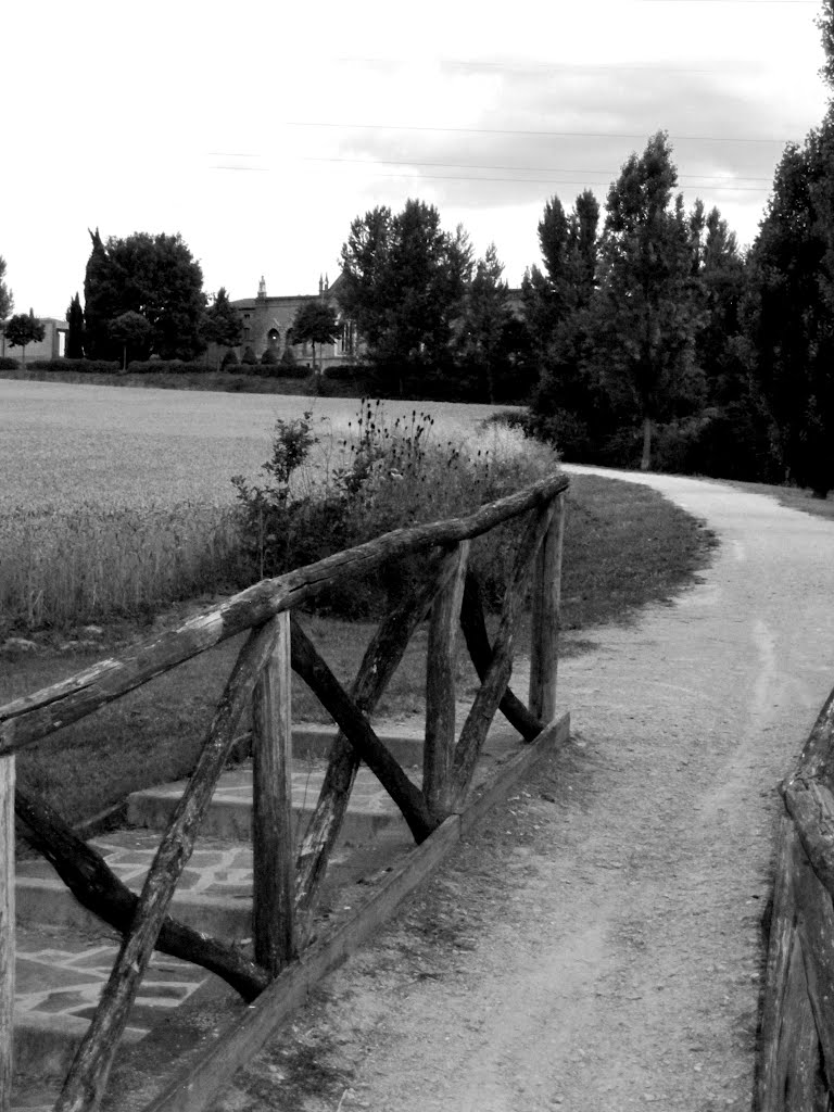 Wood brigde towards the Graveyard by Mekhet83