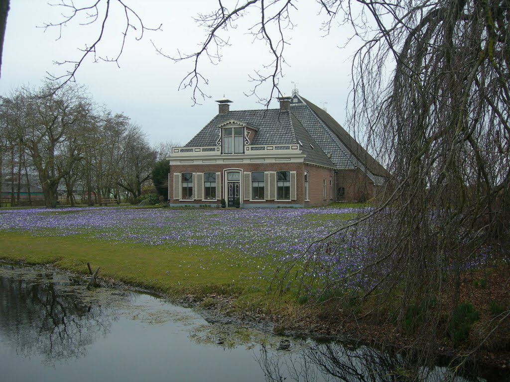 Boerderij in het paars. (BB) by Bayke de Vries