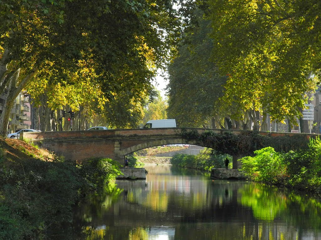 Toulouse - Canal du Midi, Aude, Languedoc-Roussillon, France by Canalous Guidemar