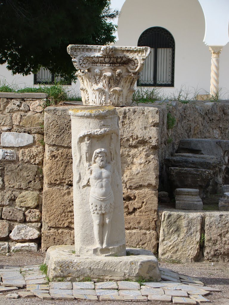 Tunis - Carthage - Akropolium - Une colonne by Konstantin Mitroshen…