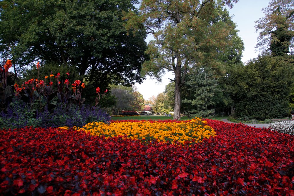 Fürth-Stadtpark-004 by s.schmid