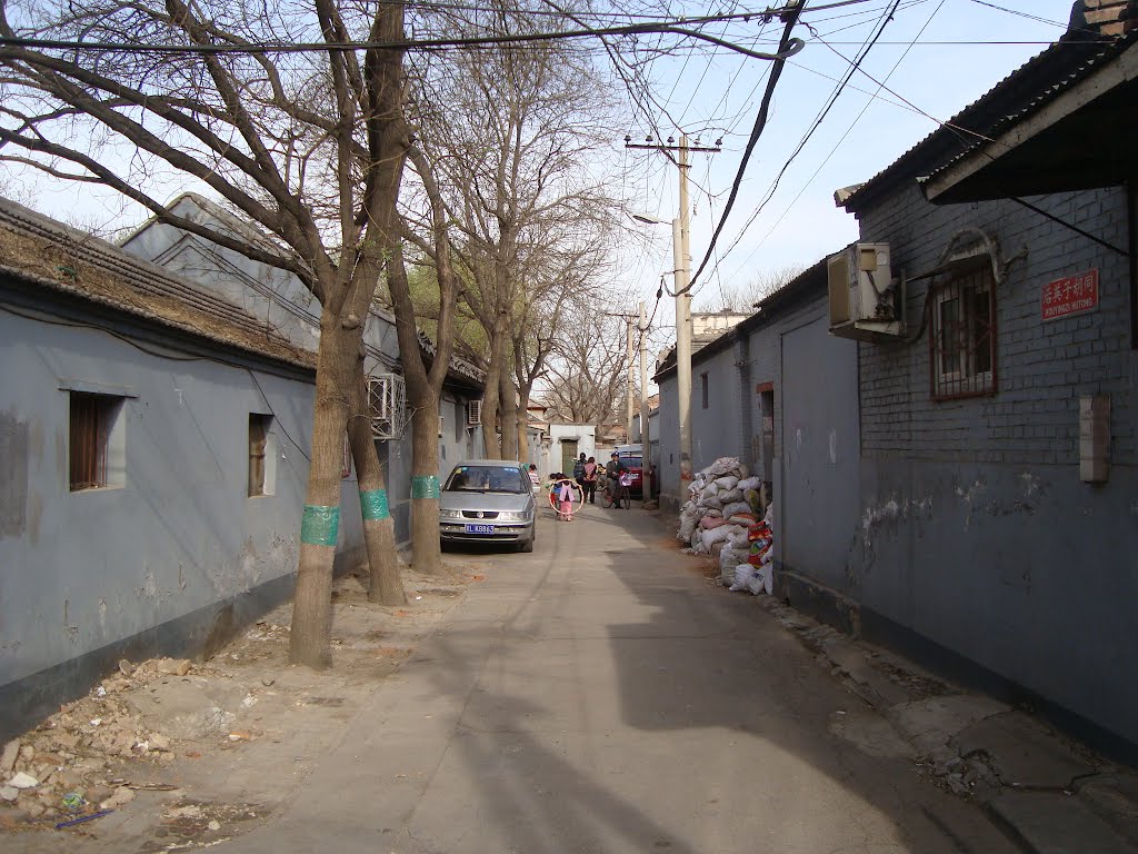 后英子胡同(Houyingzi Alley) by lxl0428