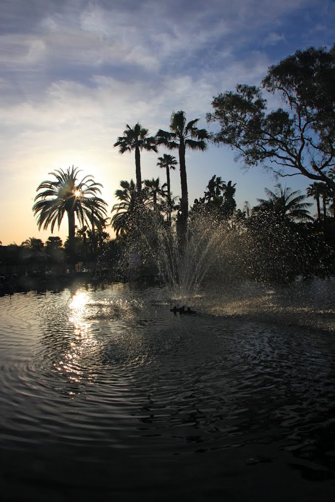 Mission Bay, San Diego, CA, USA by badozer