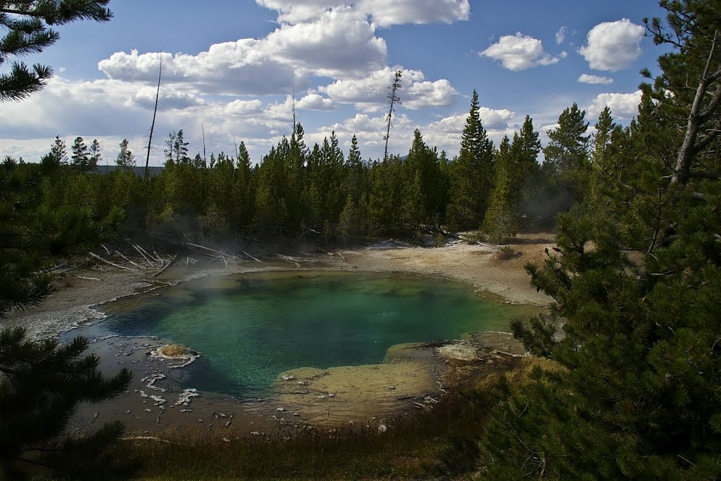 Steamboat Geyser by Rumiana Koynova-Tenchova