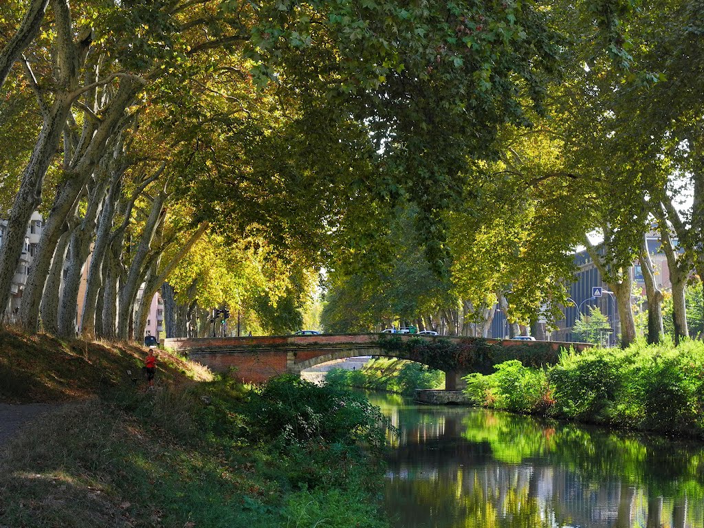 Toulouse - Canal du Midi, Aude, Languedoc-Roussillon, France by Stare Mosty