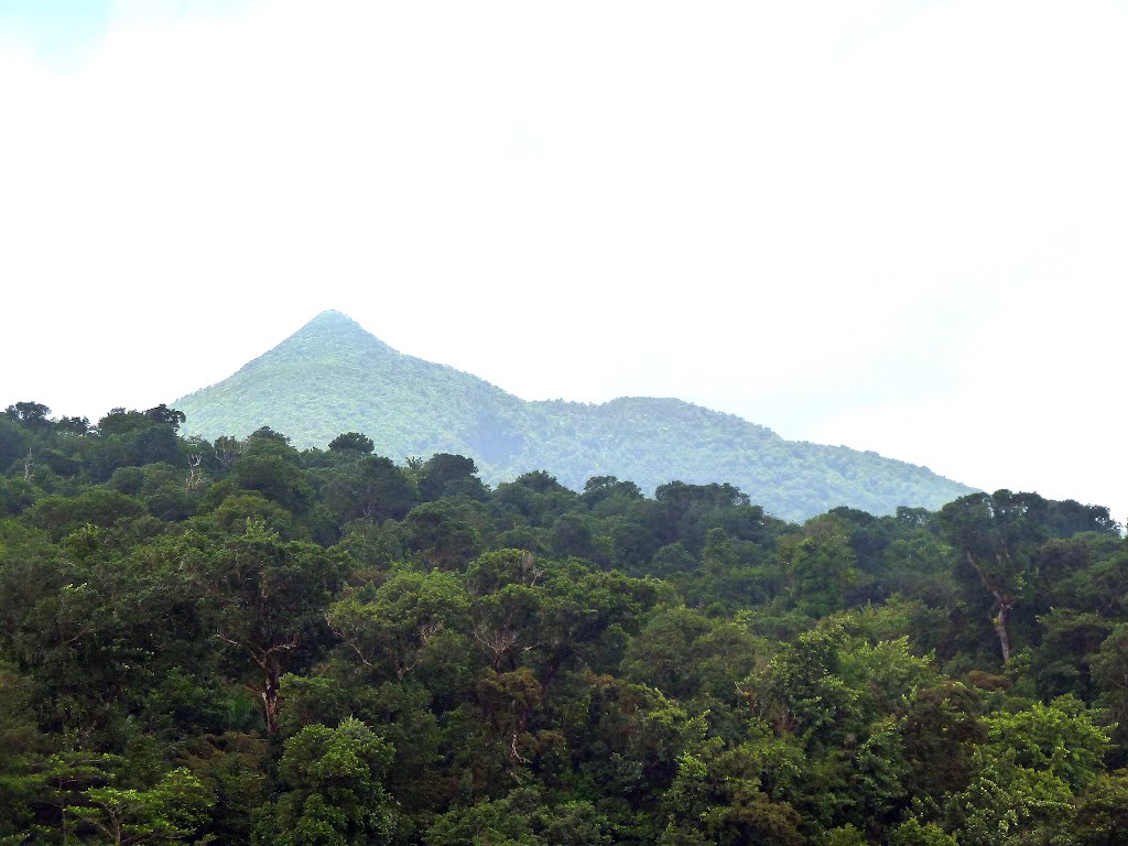 Dominica, Karibik - Trois Pitons National Park - View of the Watt Mountain by giggel