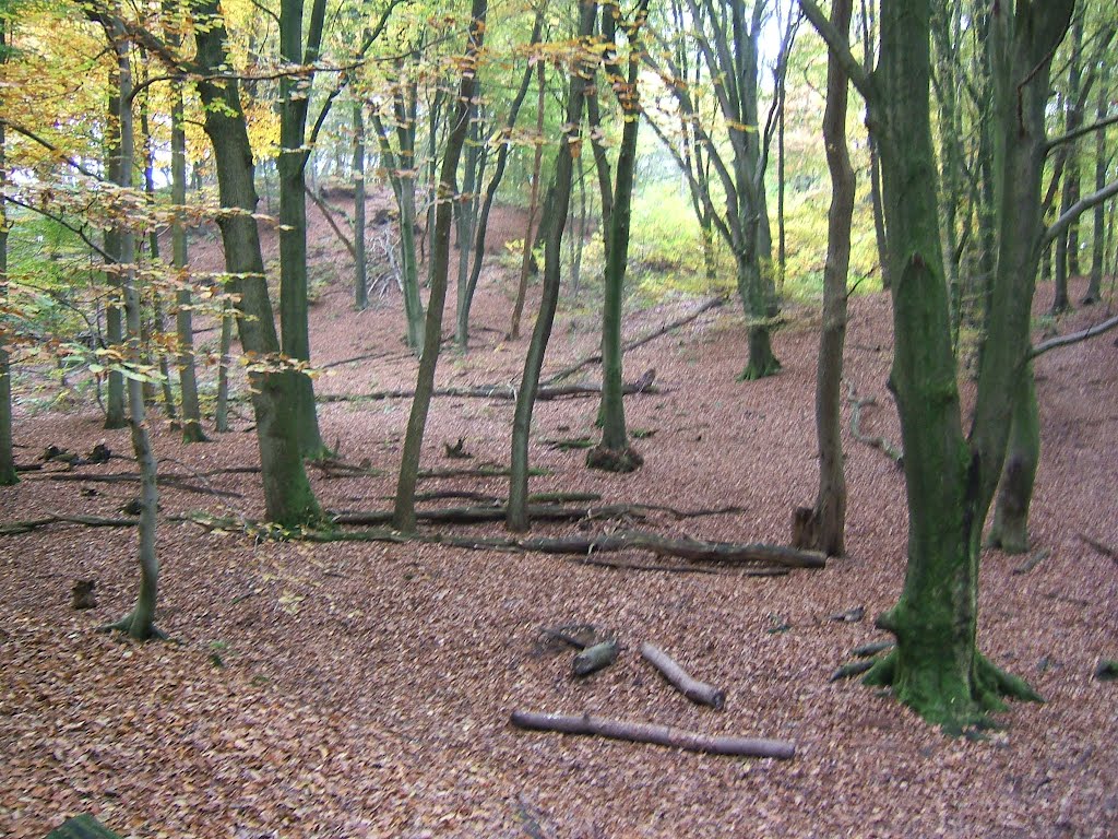 2 daagse wandeling NS-Mookerheide by Tom Ooms