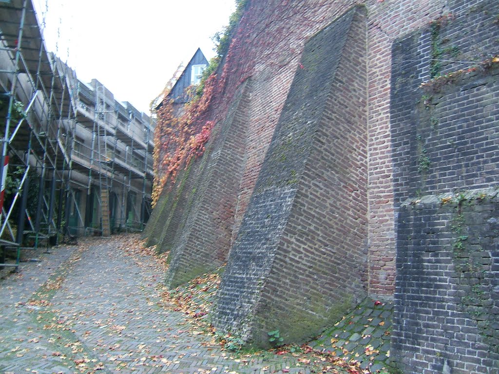 Mookerheide tweedaagse NS-wandeltocht by Tom Ooms