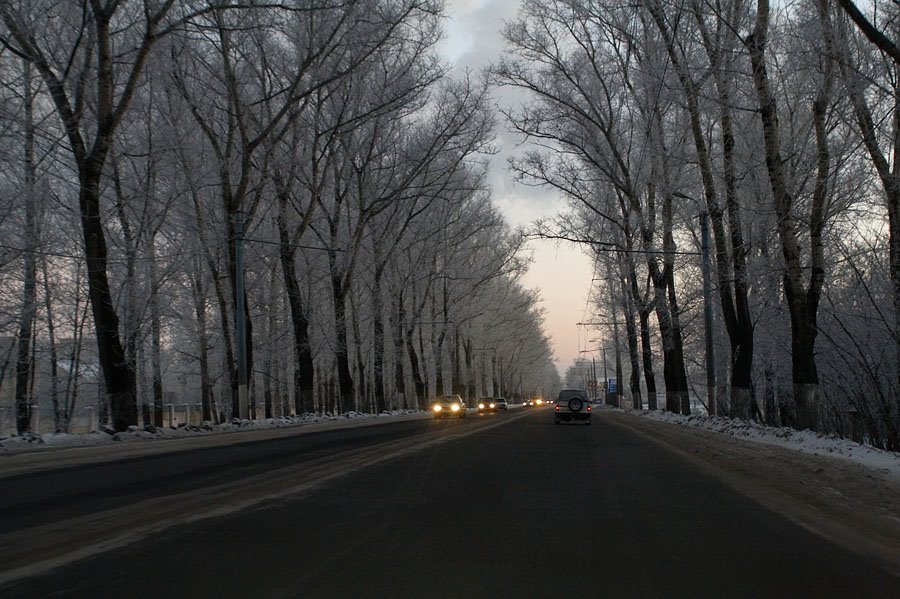 Moskovskiy rayon, Tver', Tverskaya oblast', Russia by Kostya Markin