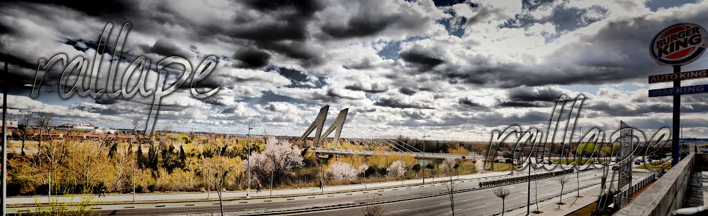 PUENTE DE LA HISPANIDAD. VALLADOLID by rallape