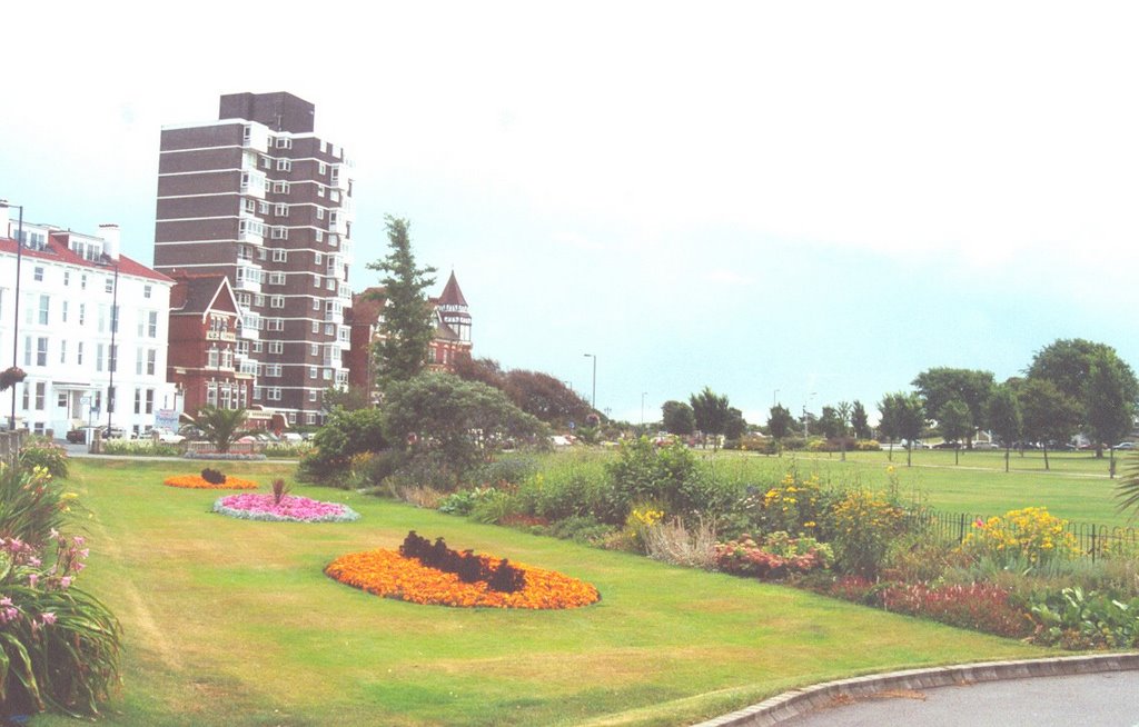 THE FLOWER BEDS AT SOUTHSEA by CLIVE BAILEY