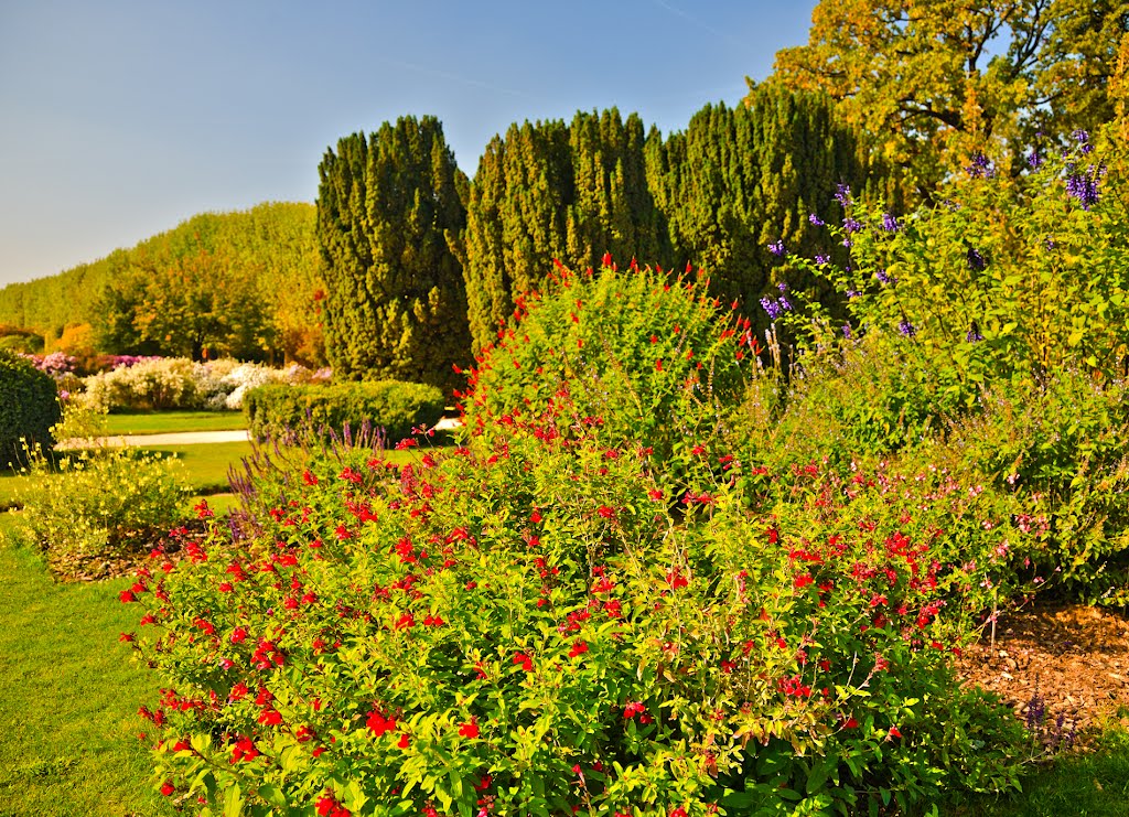 Jardin des Plantes, 75005 Paris, France by Valeri Fortuna