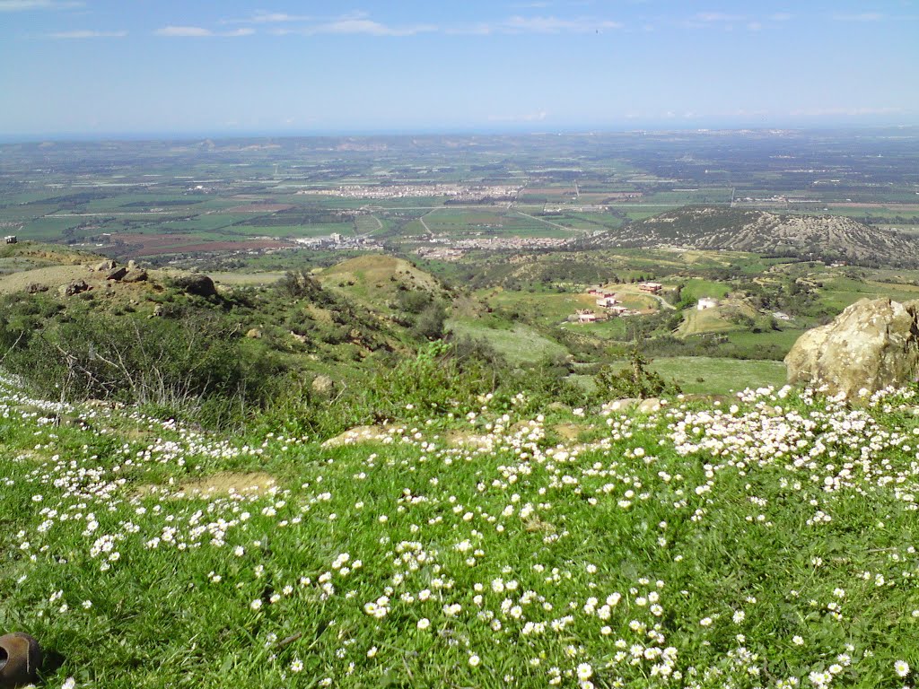 Ain Romana, Algeria by Chanane Chawki