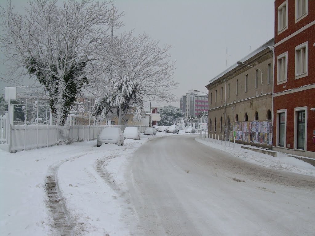 VIALE BONOPERA by CAVALLO PAZZO1