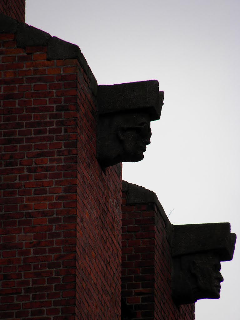 The gargoyles of the church tower by Borys Godunow