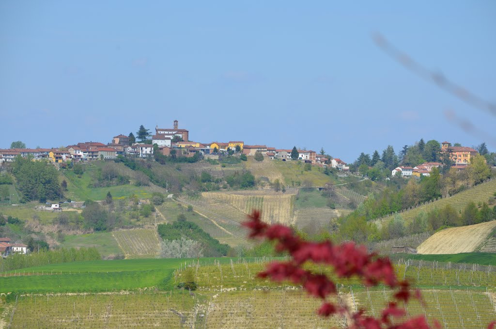 San Marzanotto d'Asti by alfio cioffi