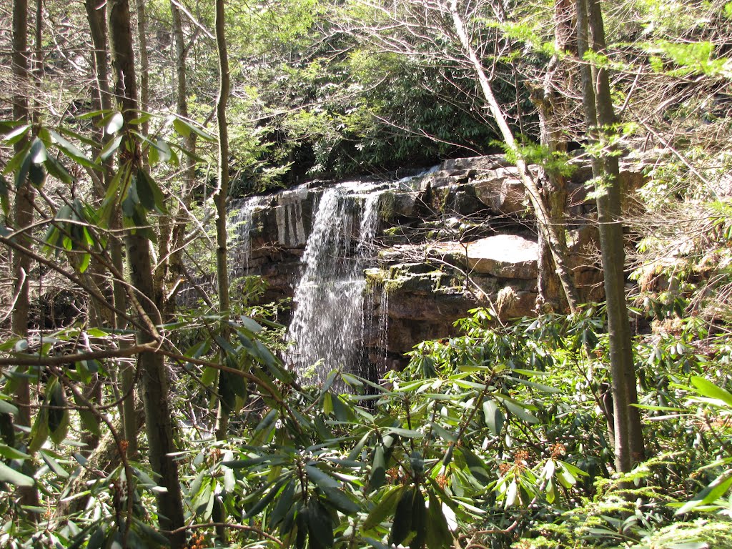 Hidden Sweet Falls from Side by Chris Sanfino