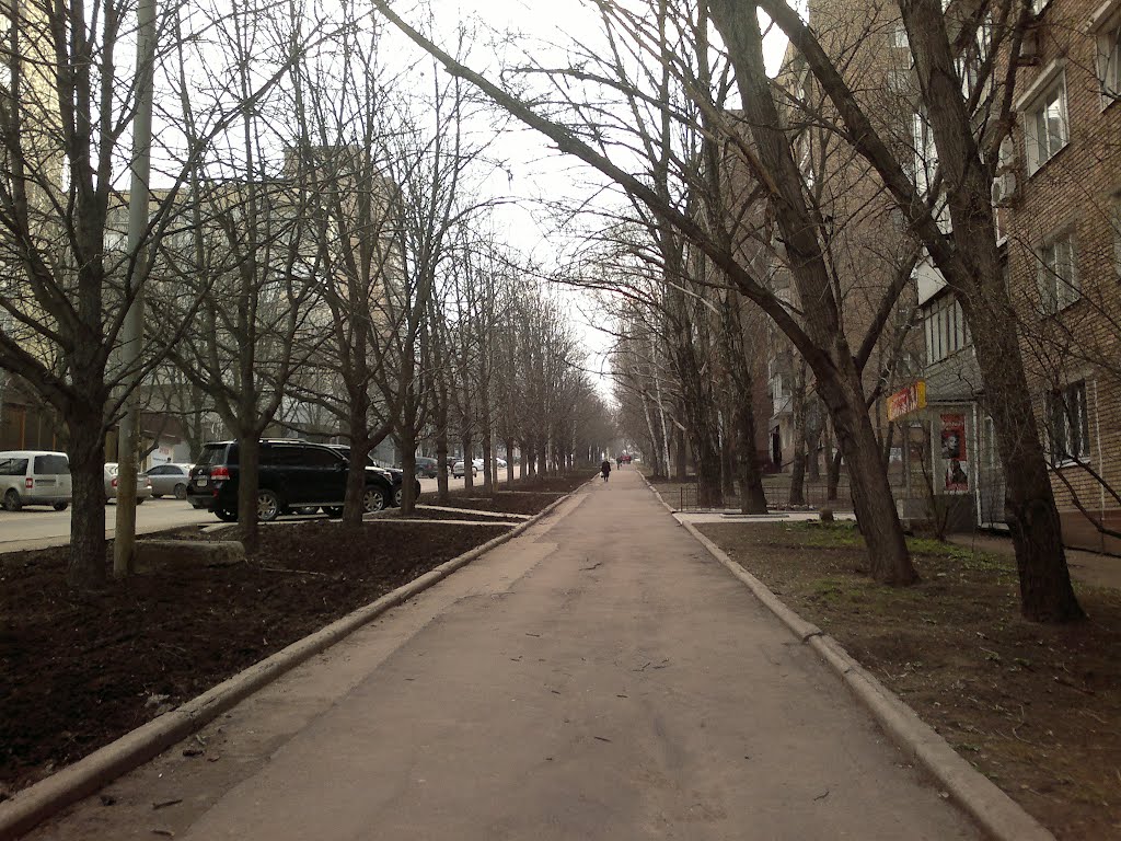 Просп. Комсомольский 10.04.2012 by Serebashca