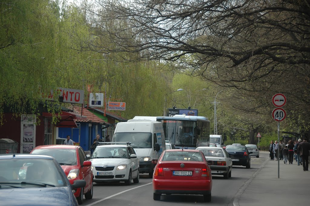 Zemun, Vrtlarska ulica by Teča sa Dunava