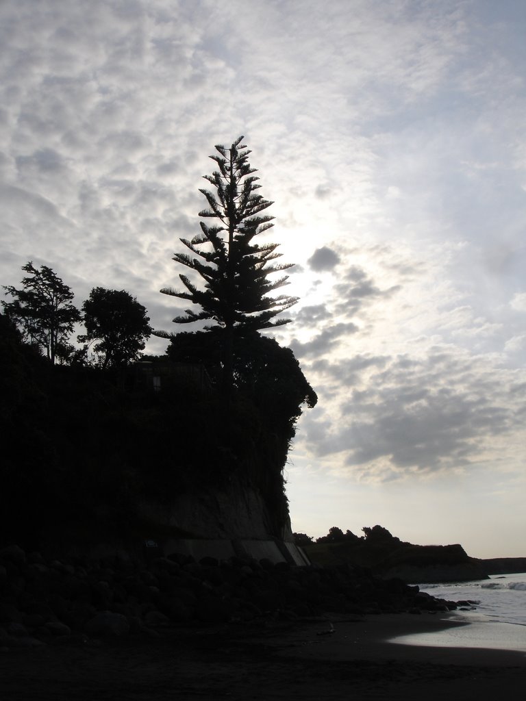 Cliff top pine by StuartCannan