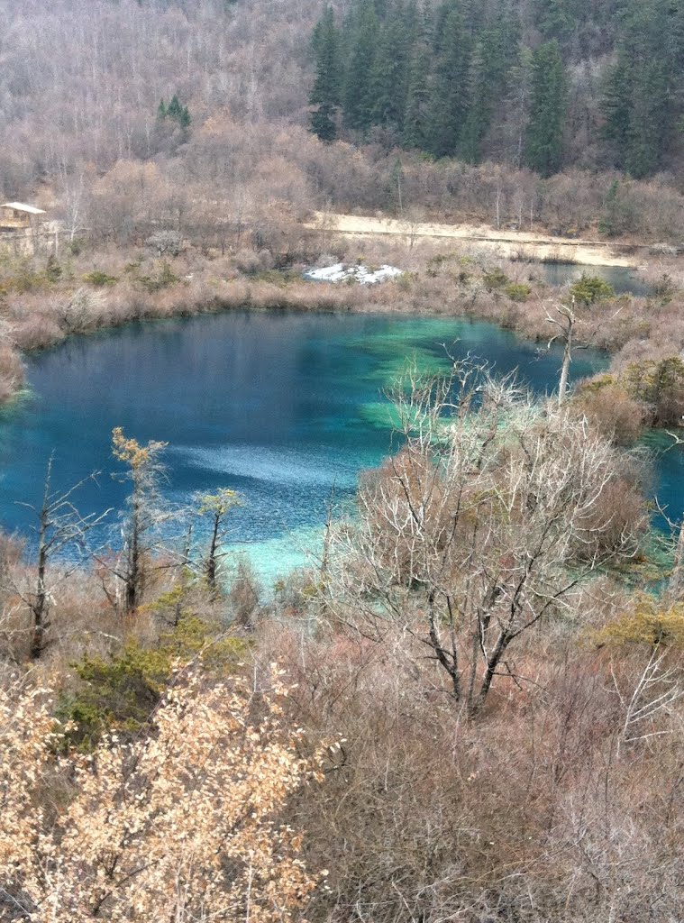 Jiuzhaigou, Aba, Sichuan, China by zxjack