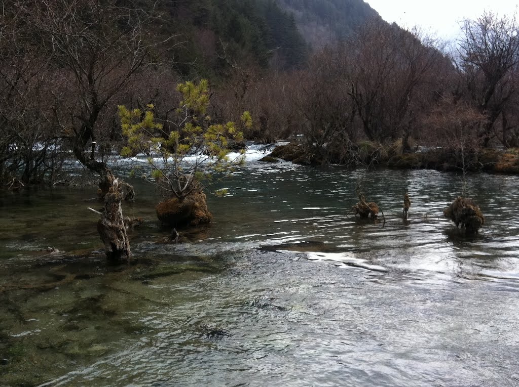 Jiuzhaigou, Aba, Sichuan, China by zxjack