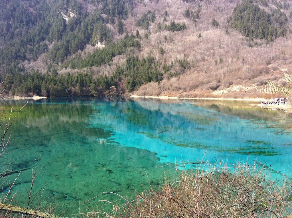 Jiuzhaigou, Aba, Sichuan, China by zxjack