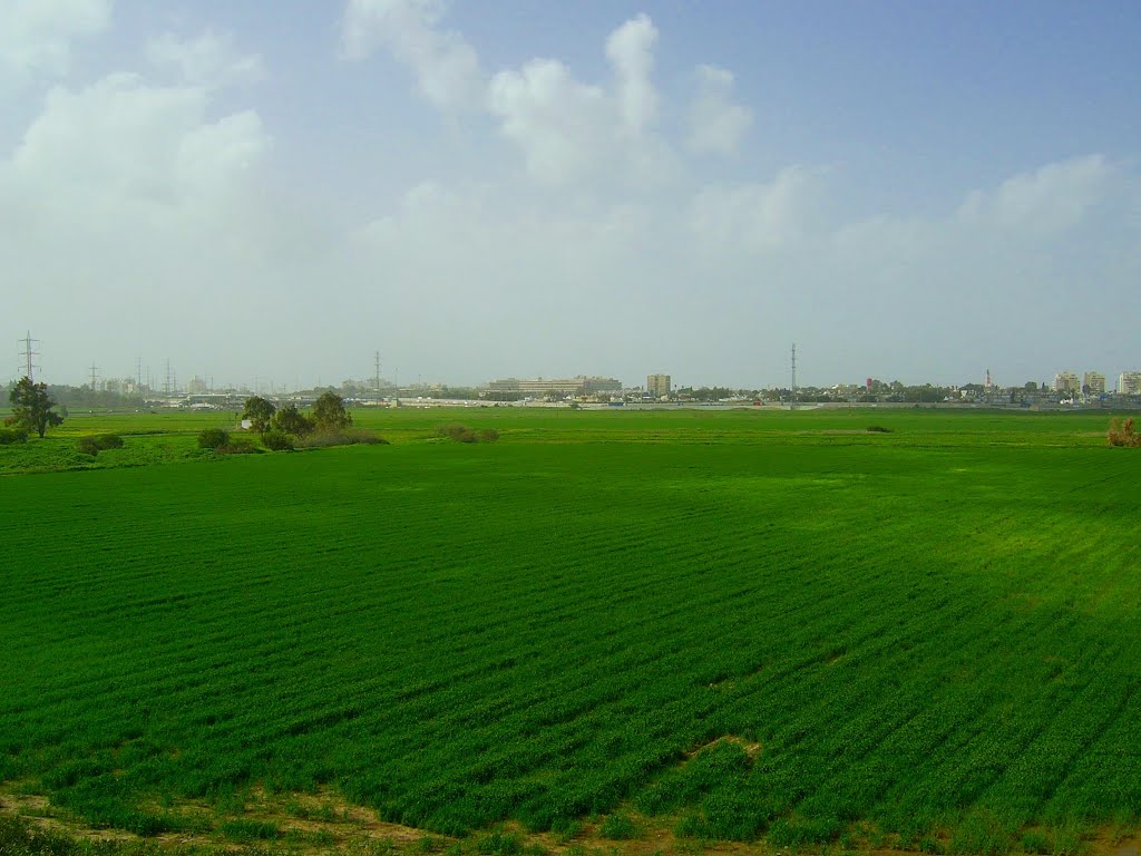 Fields between Tel Aviv and Holon by DiAr