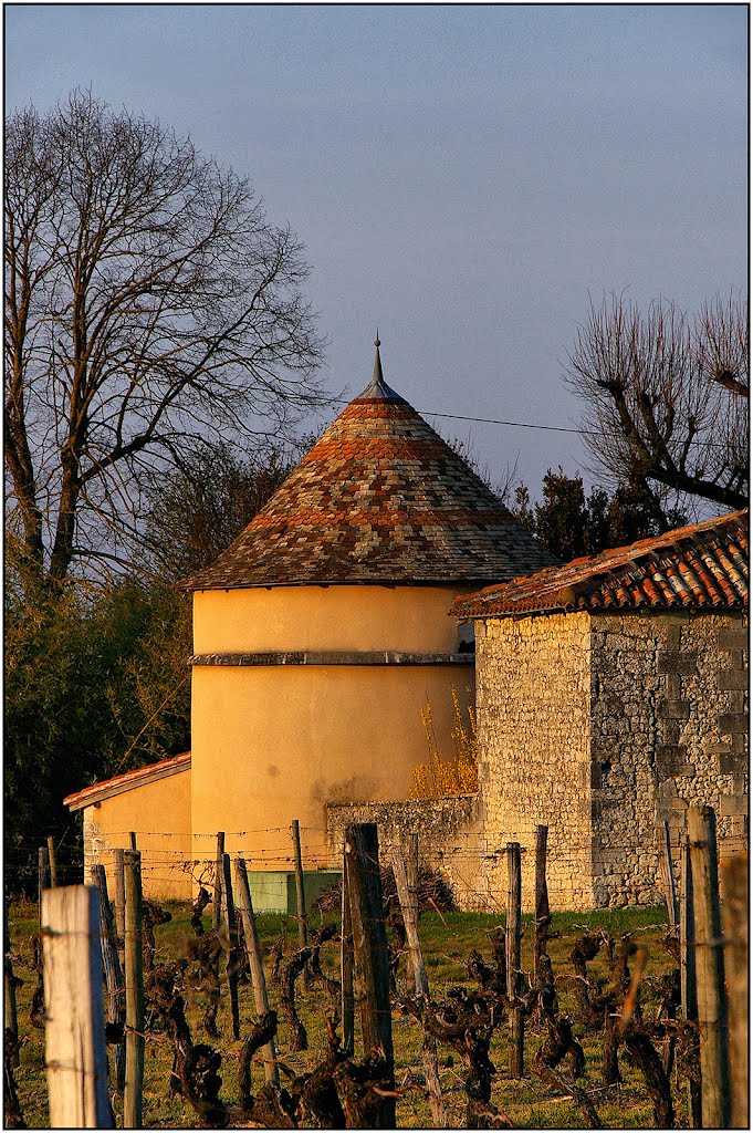 SALLES-DE-BARBEZIEUX [16] - Pigeonnier à La Couronne (2012) by Michel Chanaud (Sarlat)