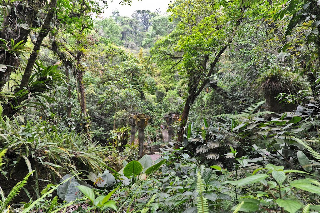 4X4 Huasteca Potosina 2012 - Las Pozas Sir Edward James by Panamon-Creel