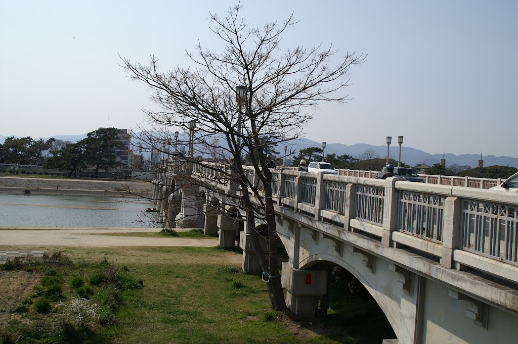 2012/04/08 武庫川 by ihara