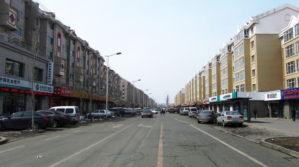 世光路（面向西）Shiguang Rd.，Facing West by wanghongtao199