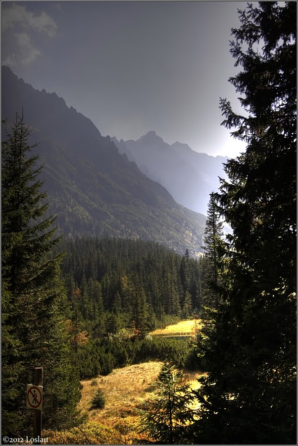 Tatry, "Żabie oko" - Dolina Rybiego Potoku by Loslau