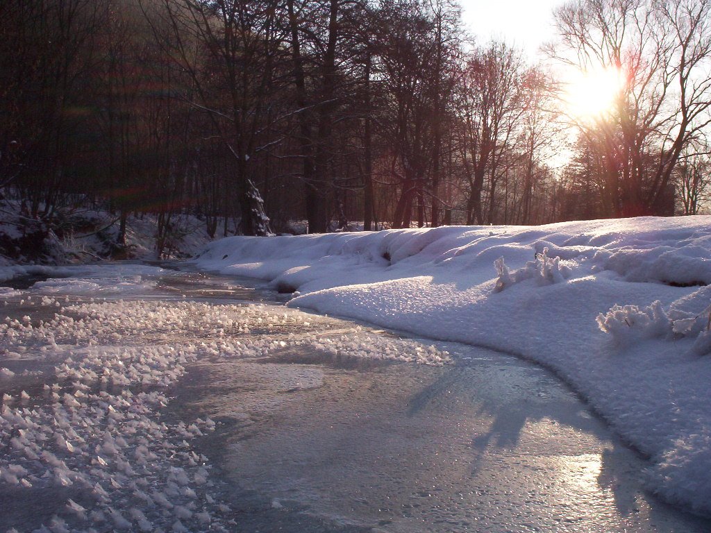 Dolní Žleb - Sitka stream - (January 2004) by rdkl