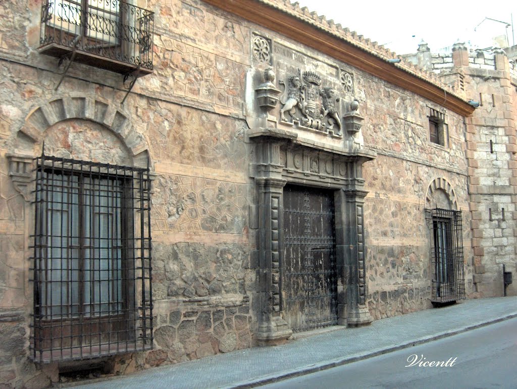 Palacio de los Condes de San Julián de Lorca by chemte